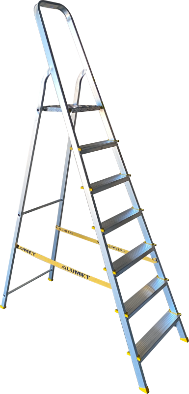 APA 7007